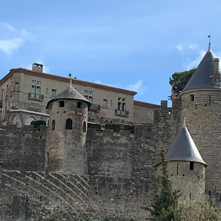 Jolie Vue Cite, Aux Pieds Des Remparts Apartment